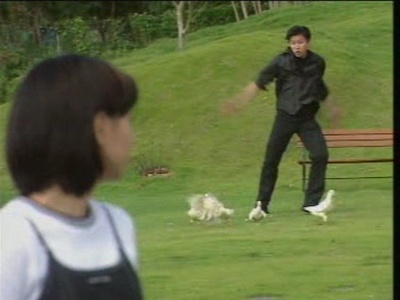 刘永健的写真-你是我天边最美的云彩