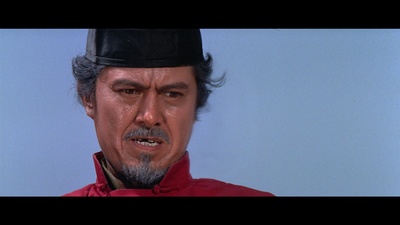 田野的写真-《獨臂拳王》