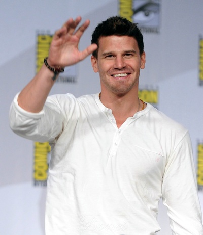 大卫·伯伦纳兹的写真