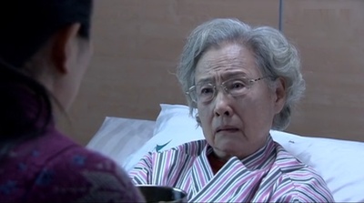 柳景溪的写真-《一生守护》艾老太