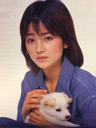 渡边典子的写真