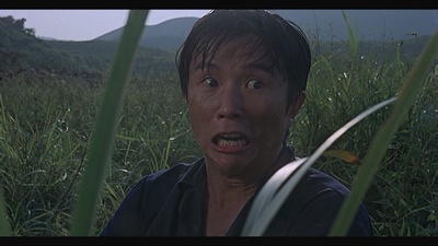 陈家奇的写真-《打蛇》