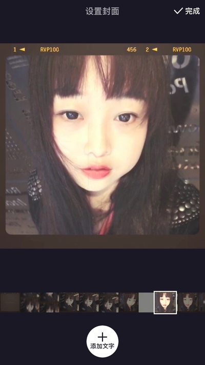 连翘的写真-连翘