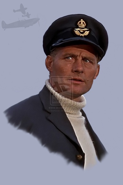 罗伯特·肖的写真