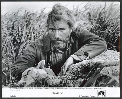 奈杰尔·达文波特的写真