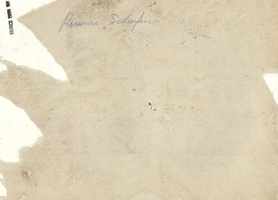 罗莎娜·斯基亚菲诺的写真