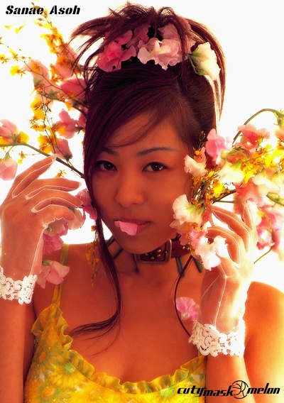 麻生早苗的写真