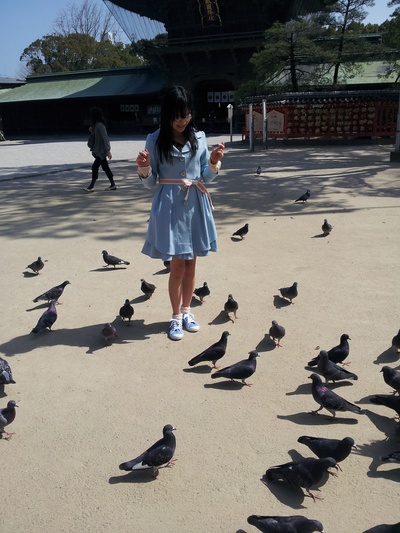 田岛芽瑠的写真