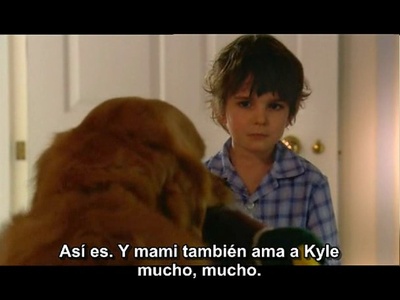 安德鲁·白内的写真