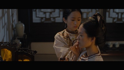 杨蕊的写真-《臥虎藏龍》