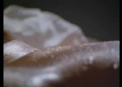 森次晃嗣的写真