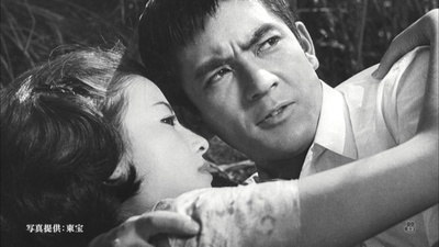 星由里子的写真