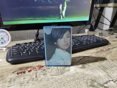 孙燕姿的写真-老孙的最高巅峰砖