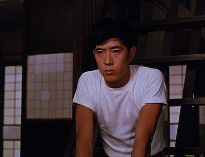 川口浩的写真-Ukigusa