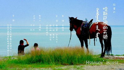 王晓民的写真-王晓民导演2016年作...