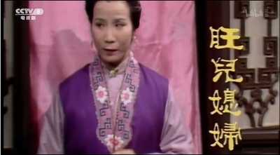 白雨玲的写真-《红楼梦》旺儿媳妇