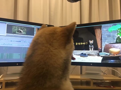 王维莉的写真-《向往的生活》第一季...