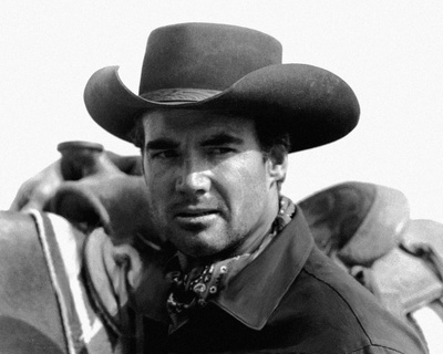 史蒂夫·李维斯的写真