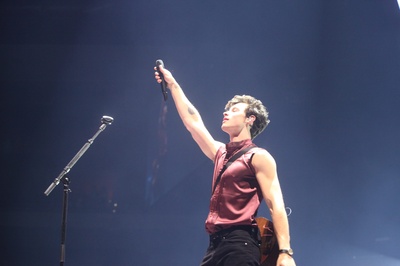 肖恩·蒙德兹的写真