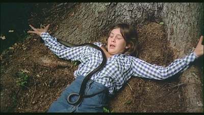 拉腊·文德尔的写真