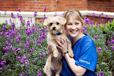 乔安娜·佩吉的写真