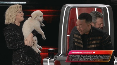 凯莉·克拉克森的写真