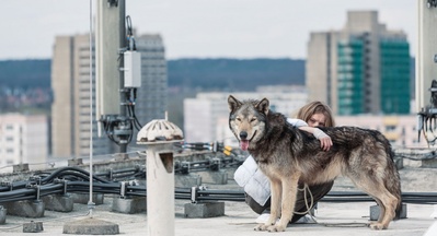 莉莉丝·斯坦根博格的写真