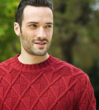 安德烈亚斯·康斯坦丁诺的写真