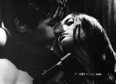 宍户锭的写真-《杀手烙印》