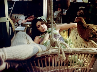 卡洛埃·劳拉的写真