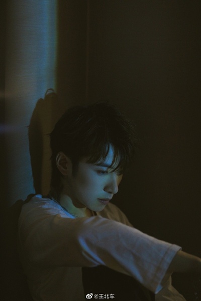 王北车的写真