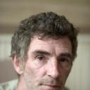 斯蒂夫·艾弗茨