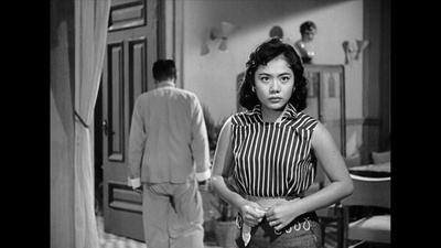 胡笳的写真-《椰林月》