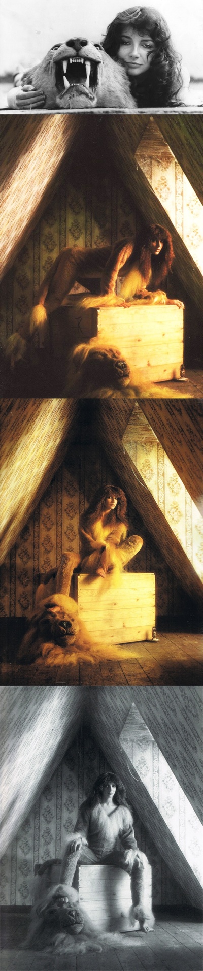 凯特·布什的写真