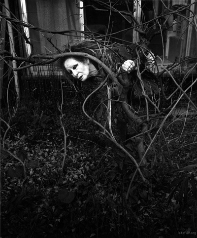 大野一雄的写真