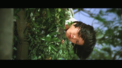 江生的写真-《大殺四方》