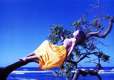 藤崎彩花的写真