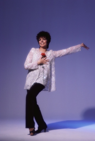 丽莎·明奈利的写真