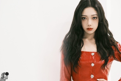 希林娜依·高的写真