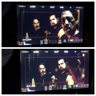 托德·特里的写真