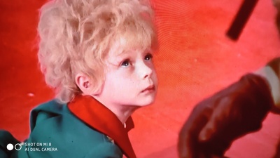 史蒂文·华纳的写真