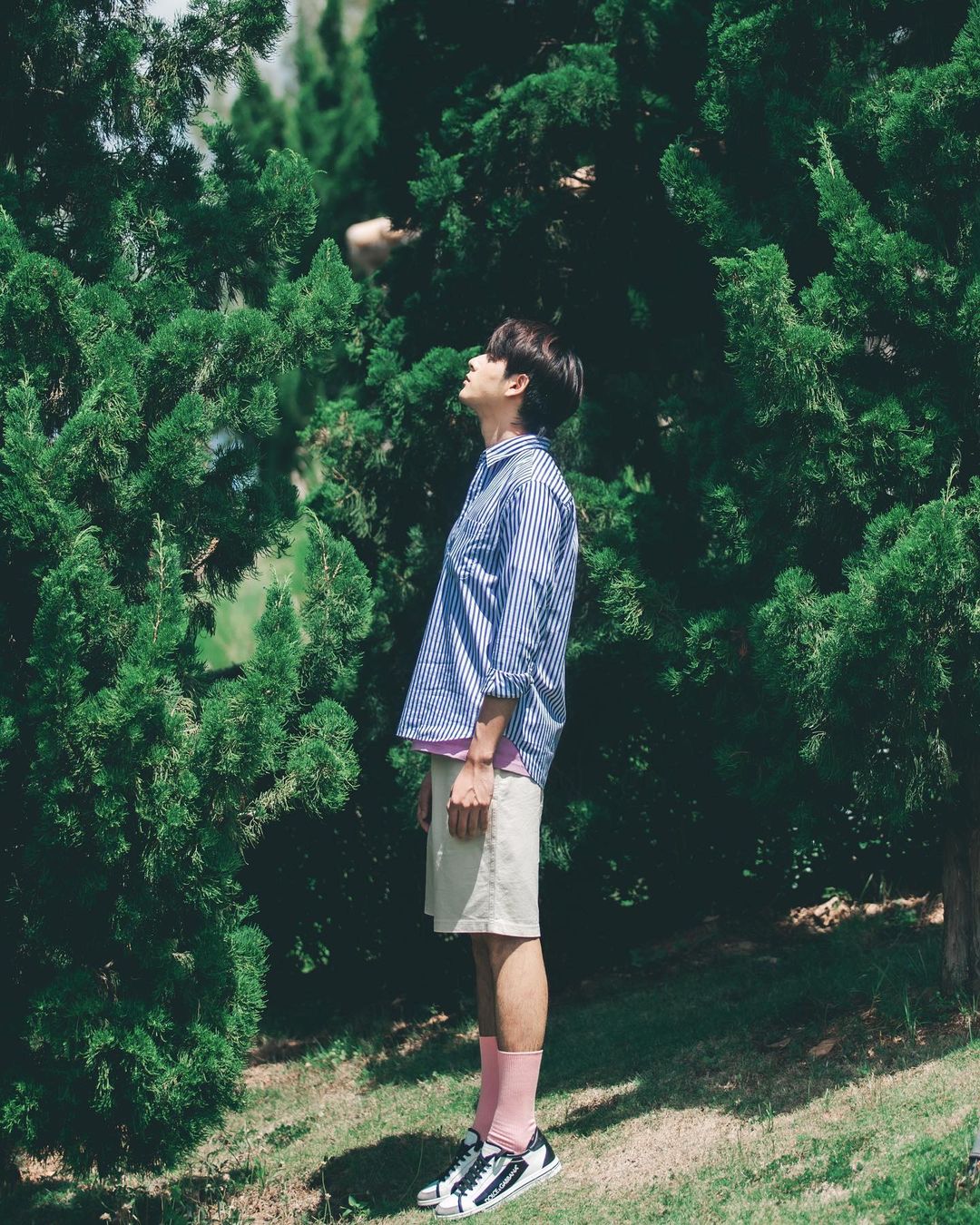 俄尔.驰缇萨努彭.索伊克斯利的写真