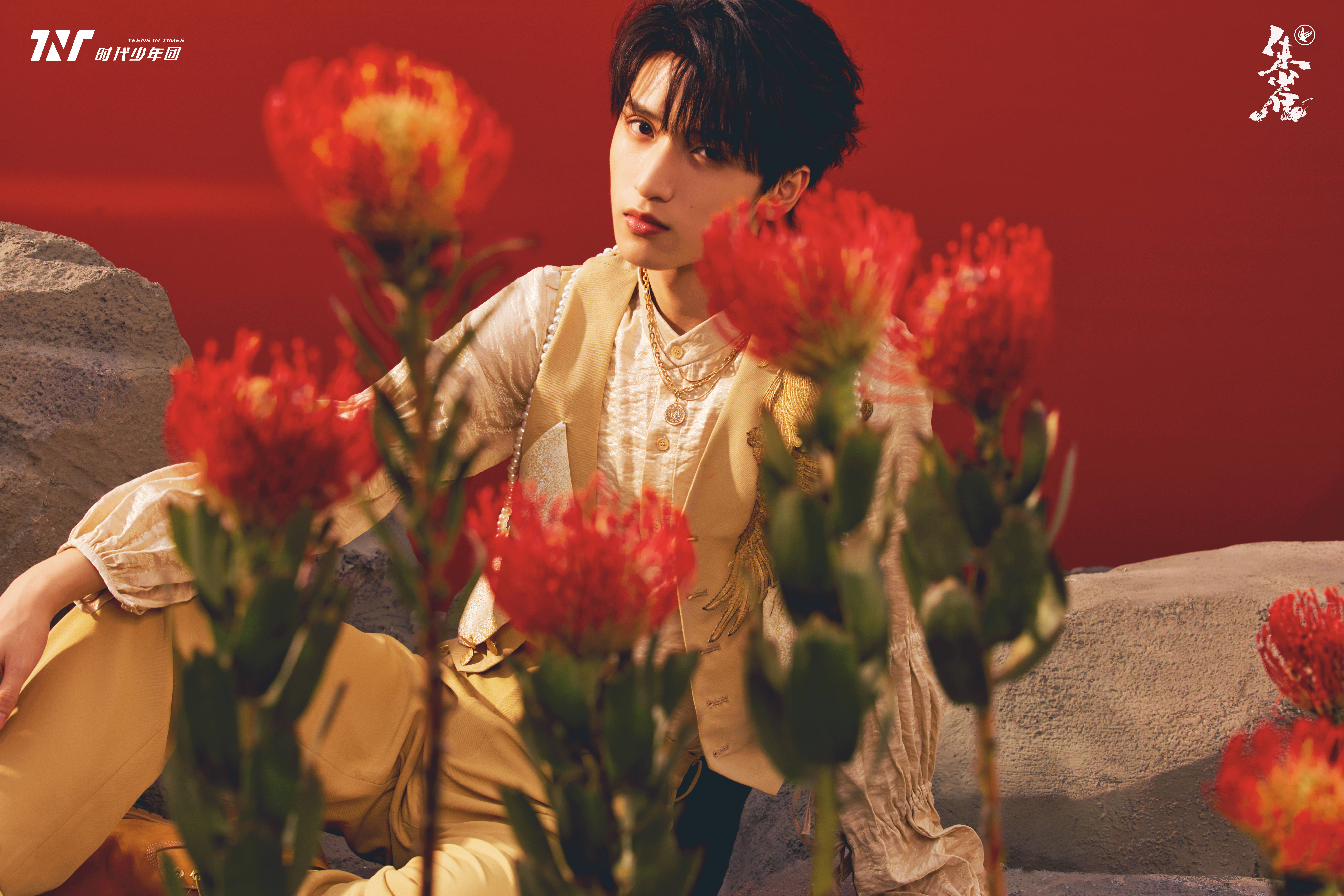 严浩翔的写真-严浩翔《朱雀》