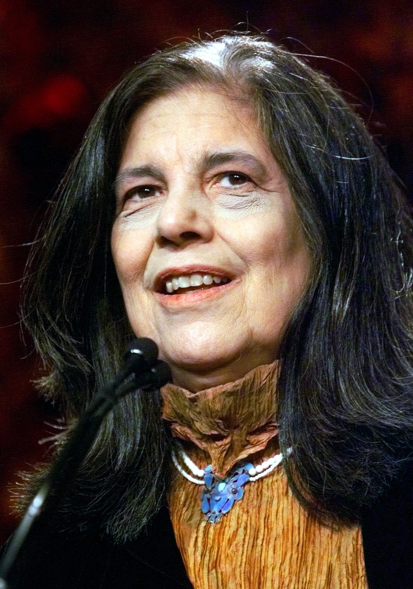 苏珊·桑塔格的写真