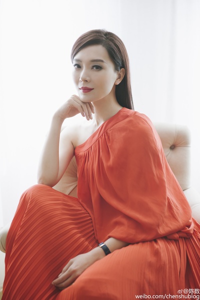 陈数的写真