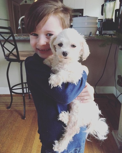 杰特·克莱恩的写真