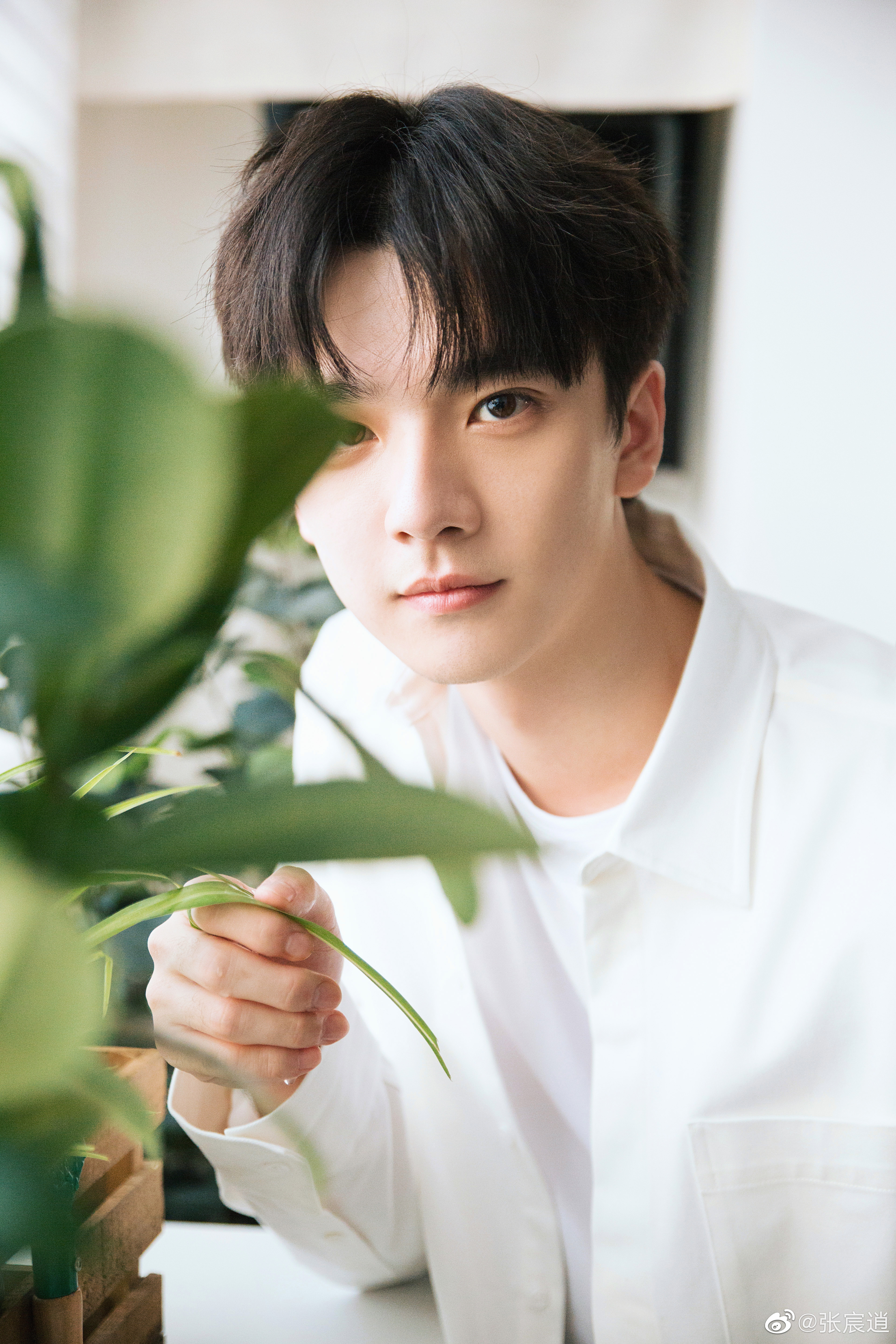 张宸逍的写真