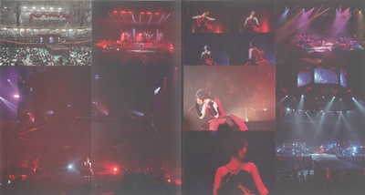 坂本真绫的写真