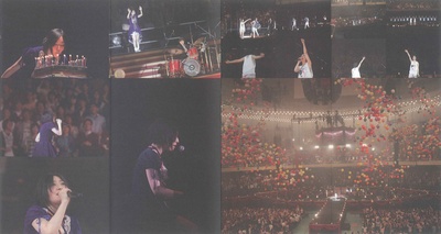 坂本真绫的写真