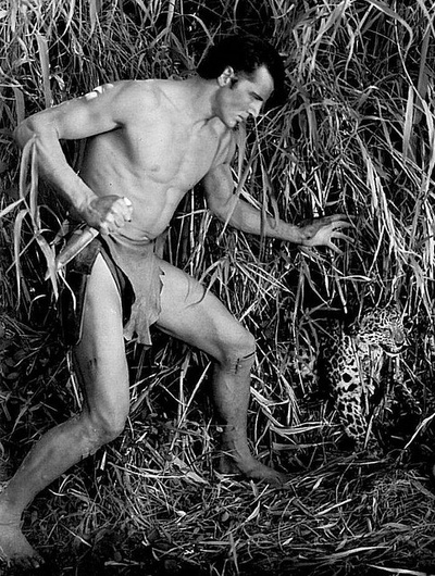 布鲁斯·班尼特的写真